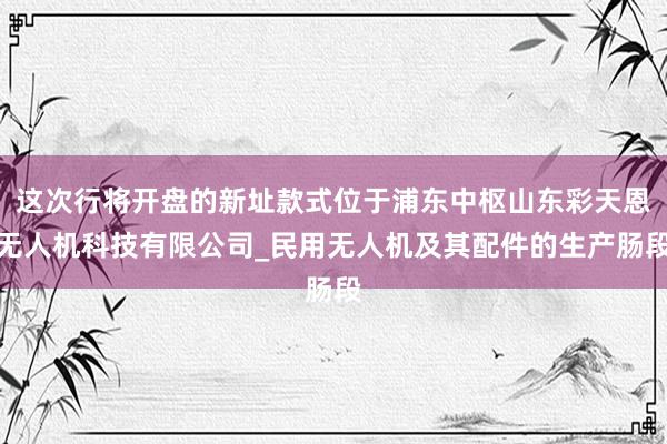 这次行将开盘的新址款式位于浦东中枢山东彩天恩无人机科技有限公司_民用无人机及其配件的生产肠段