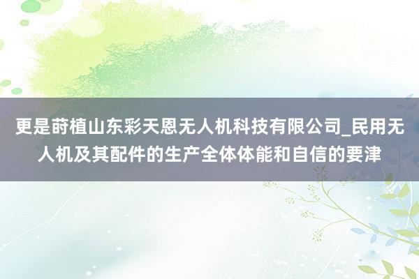 更是莳植山东彩天恩无人机科技有限公司_民用无人机及其配件的生产全体体能和自信的要津