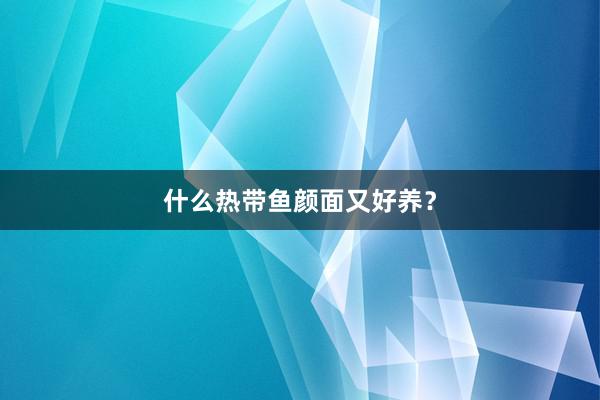 什么热带鱼颜面又好养？